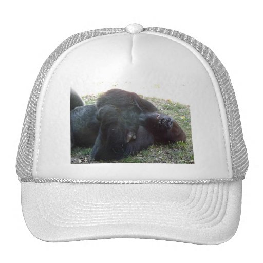 Zoo de Kansas City de gorille de plaine de sommeil Casquettes