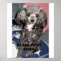 Zooey le chien de temps affiches