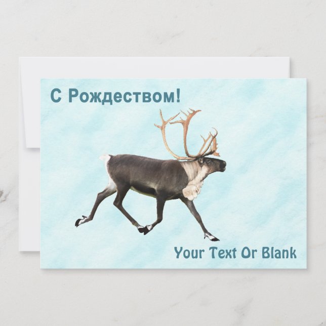 С Р о ж д е с  т - Caribou (rennes) Sur Neige (Devant)