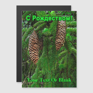 С Р о ж д е с  т - Cônes Et Aiguilles