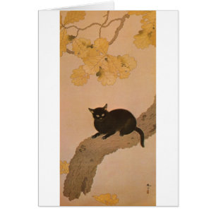 黒 猫, 春 Chat Noir, Shunsō