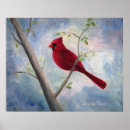 Recherche de cardinaux posters Oiseau