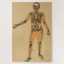 Recherche de anatomie vintage puzzles Squelette humain