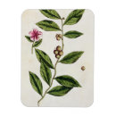 Recherche de thé vert magnets Fleurs