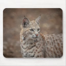 Recherche de chat sauvage tapis souris Carnivore