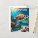 Recherche de tortues marines cartes postales Nautique