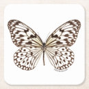 Recherche de photos papillons de dessous de verres Smithsonien