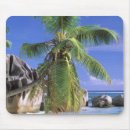 Recherche de les seychelles tapis souris Plage