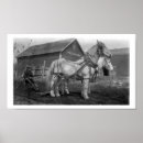 Recherche de rangée photographie Historique