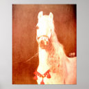 Recherche de gitan posters Bohémien