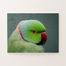 Recherche de anneaux puzzles Faune