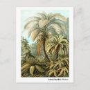 Recherche de haeckel cartes postales Kunstformen der natur