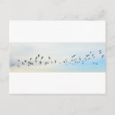Recherche de oiseaux en vol cartes postales Voler