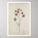 Recherche de moyne posters 1533 88