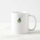 Recherche de sauterelle tasses Insecte