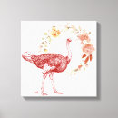 Recherche de ostrich posters Amoureux des autruches