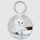 Recherche de chat persan porteclés Mignon