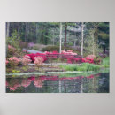 Recherche de monde naturel posters Rose