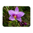 Recherche de orchidee magnets Floral