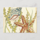 Recherche de multicolore invitations Coquillage