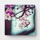 Recherche de japonais plaques Sakura