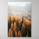 Recherche de forets art Parc national