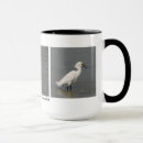 Recherche de héron de milou Oiseaux