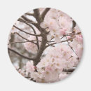 Recherche de fleurs de cerisier sakura magnets Cerise