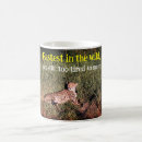 Recherche de photo guépard tasses Sauvage