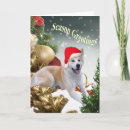 Recherche de akitas vœux cartes Chiens