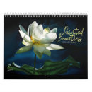 Recherche de lotus bureau fournitures Lis
