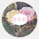 Recherche de cactus colorés autocollants Pour elle