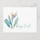 Recherche de kitchen cartes postales Fleur