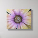 Recherche de osteospermum art Jaune