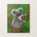 Recherche de ours puzzles Bébé