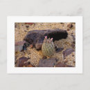 Recherche de barils cartes postales Toute personne