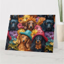 Recherche de chiot teckel vœux cartes Dachshund