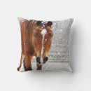 Recherche de whisky coussins Ouest