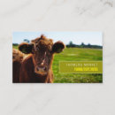 Recherche de bovins cartes visite Ferme