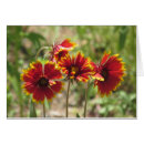 Recherche de couverture indienne cartes postales Floral