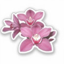 Recherche de orchidées roses autocollants Fleurs