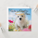 Recherche de ange de chien vœux cartes Hiver