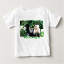 Recherche de le singe voient le singe Drôle