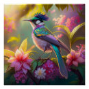 Recherche de aile bleue posters Imaginaire