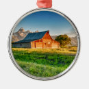 Recherche de jackson hole ornements Teton grand