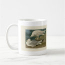 Recherche de ailes blanches tasses Oiseau