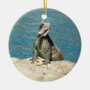 Recherche de iguane ornements Tropical