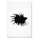 Recherche de betta posters Combat