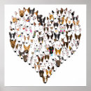 Recherche de bully posters Terrier