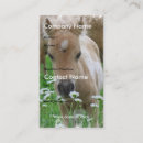 Recherche de pouliches cartes visite Colt